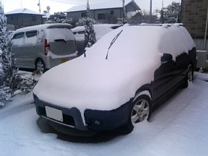 yuki_05020202.jpg